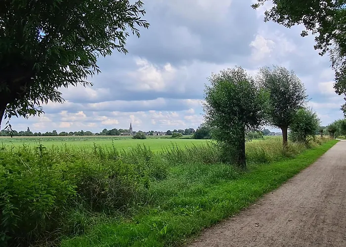 Benb Lagiraffa Escharen